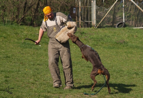 Hesta di Altobello - training 4. 4. 2007